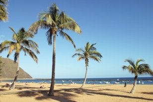 Life's a Beach 2013.jpg